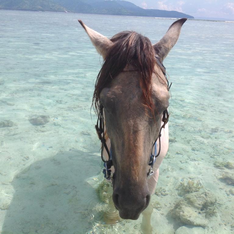 Hotel Gili T Sugar Shack Gili Trawangan Zewnętrze zdjęcie